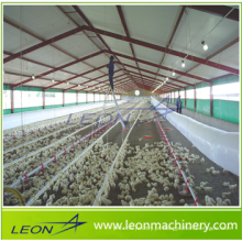 Sistema automático de alimentação de aves série Leon